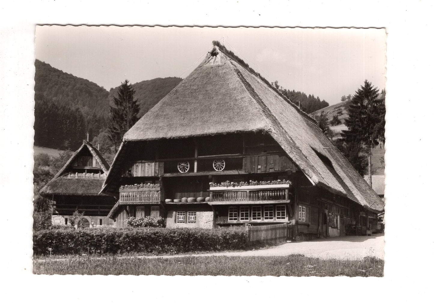 Ansichtskarte Gutach / Schwarzwälder Freilichtmuseum / K1-47