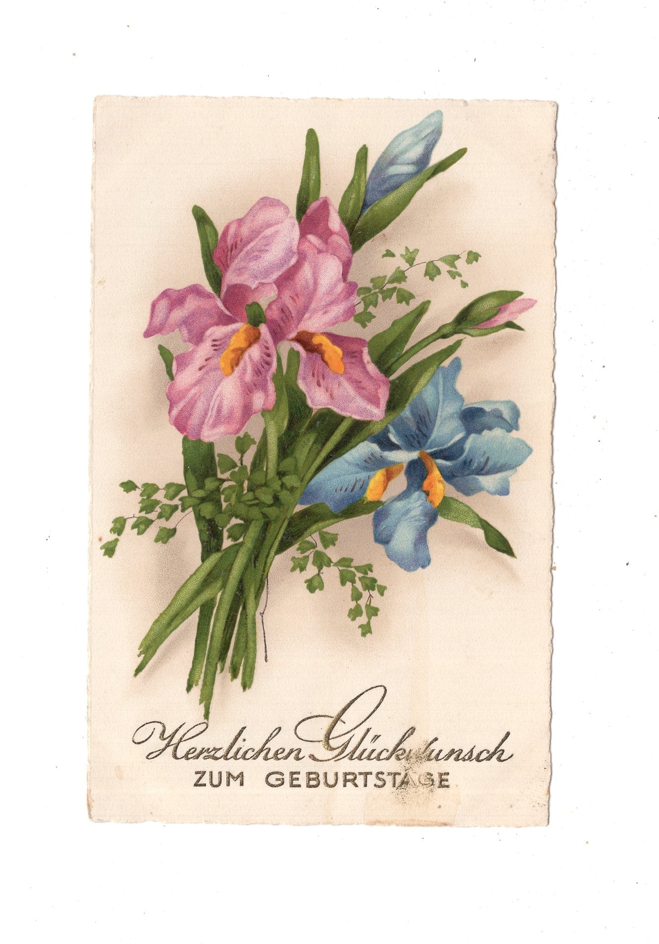 Ansichtskarte Glückwünsche / Glückwunsch zum Geburtstag / L1-62