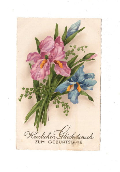 Ansichtskarte Glückwünsche / Glückwunsch zum Geburtstag / L1-62