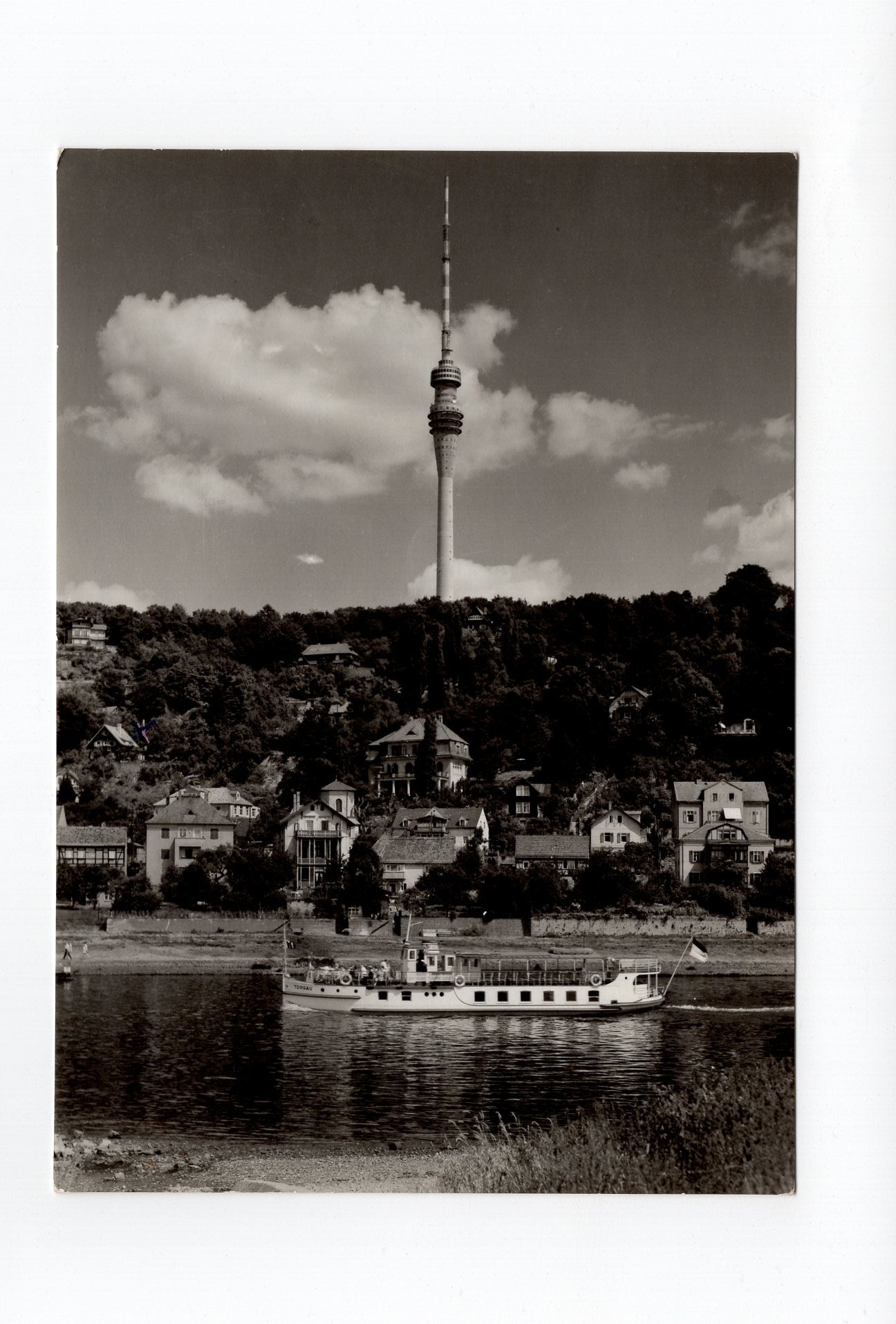 Ansichtskarte Dresden-Wachwitz / MS Torgau am Fernsehturm