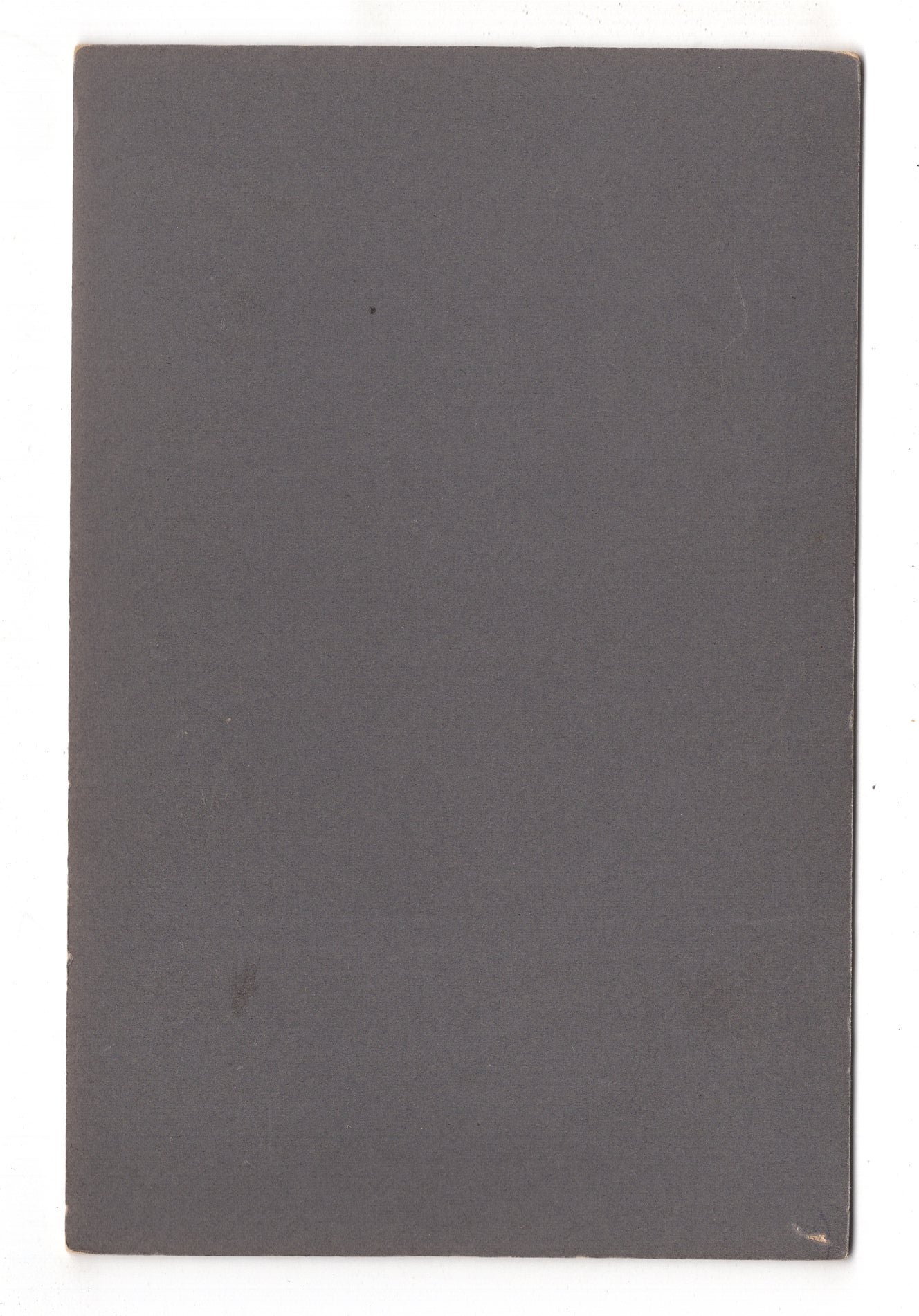 Fotografie Niedliche kleine Kinder - Neugersdorf 1900er / CAB U-30