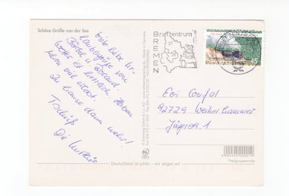 Ansichtskarte Schöne Grüße von der See / Seehunde