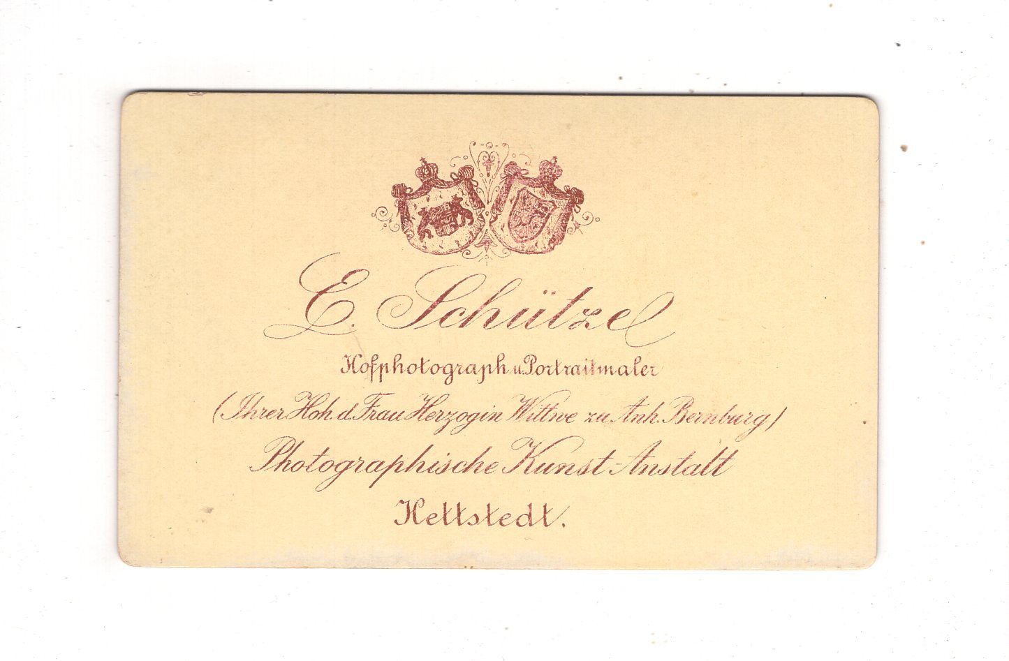 Fotografie Damenportrait - Hettstedt 1880er