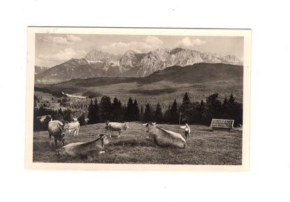 Ansichtskarte Elmauer Alm