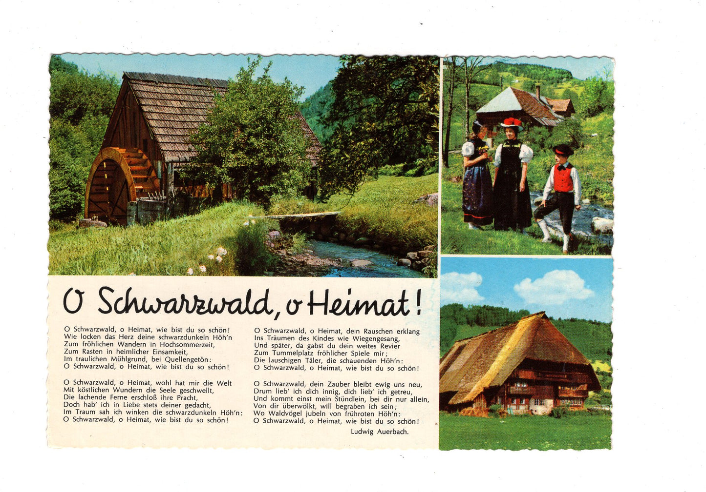 Ansichtskarte O Schwarzwald, o Heimat! / G1-64