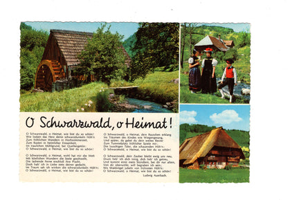 Ansichtskarte O Schwarzwald, o Heimat! / G1-64