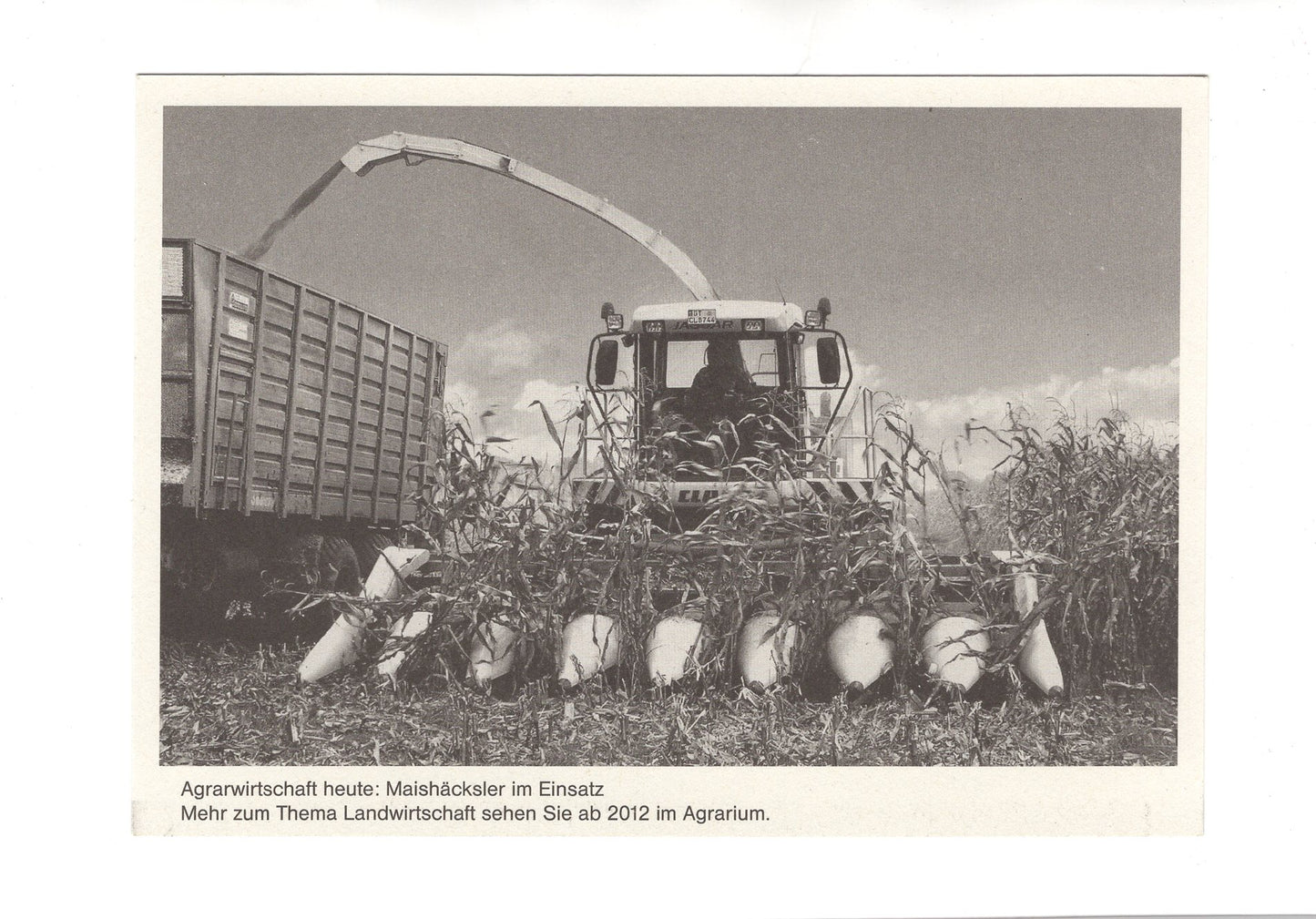 Ansichtskarte Freilichtmuseum Kiekeberg / Maishäcksler im Einsatz