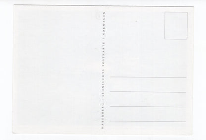 Ansichtskarte Fähre von Kilboghamn nach Vagaholmen / Norwegen