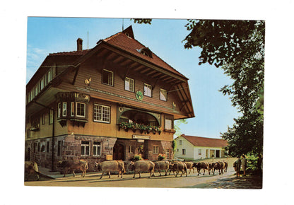 Ansichtskarte Gasthof und Pension Adrionshof / Ödenwald über Freudenstadt / H1-60