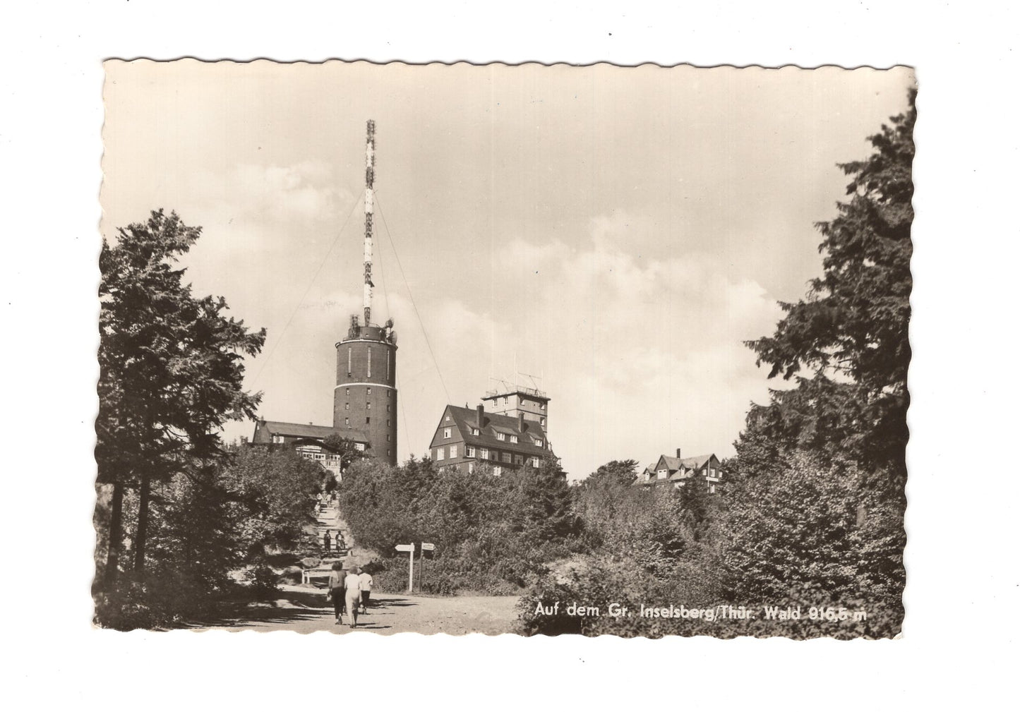 Ansichtskarte Auf dem Großen Inselsberg / Thüringer Wald