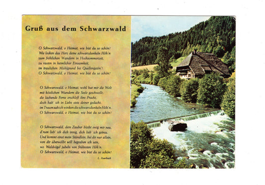 Ansichtskarte Gruß aus dem Schwarzwald / G1-64