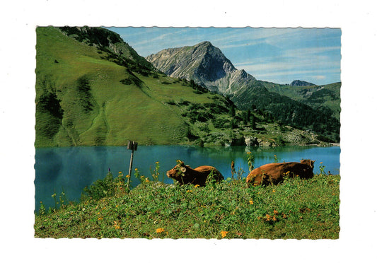 Ansichtskarte Traualpsee mit Gaishorn / Tirol / Österreich