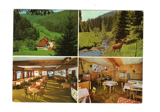 Ansichtskarte Hotel Gasthof Kropfmühle / Kreis Freudenstadt / K1-47