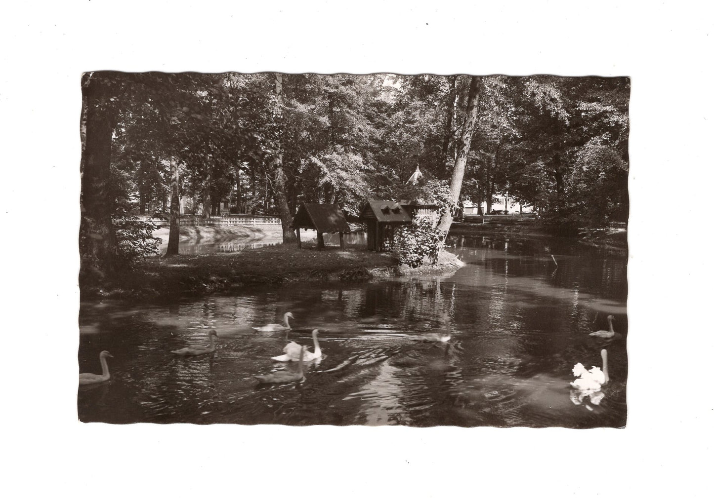 Ansichtskarte Schwabach / Im Stadtpark