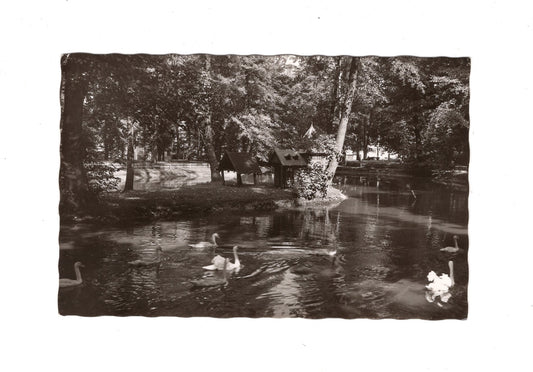 Ansichtskarte Schwabach / Im Stadtpark