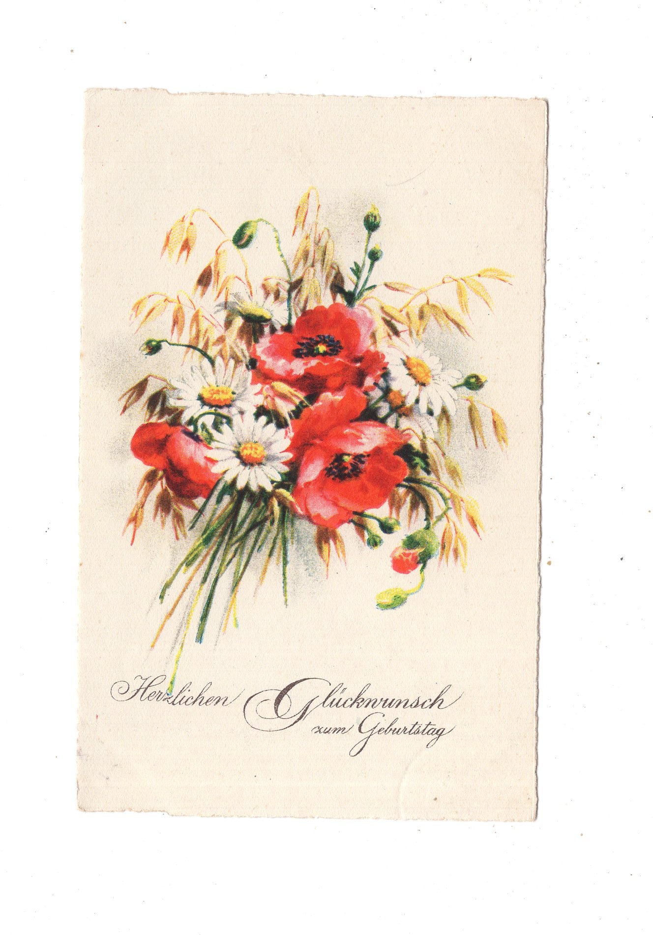 Ansichtskarte Glückwünsche / Glückwunsch zum Geburtstag / L1-62