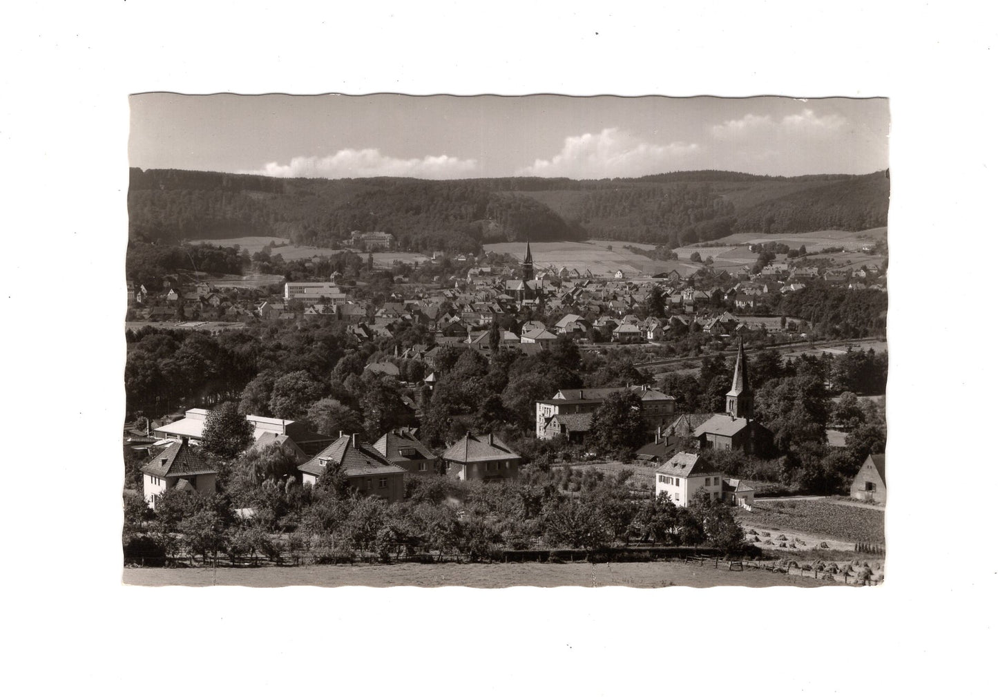 Ansichtskarte Bad Driburg / Blick vom Steinberg