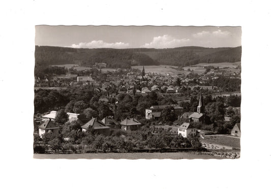 Ansichtskarte Bad Driburg / Blick vom Steinberg