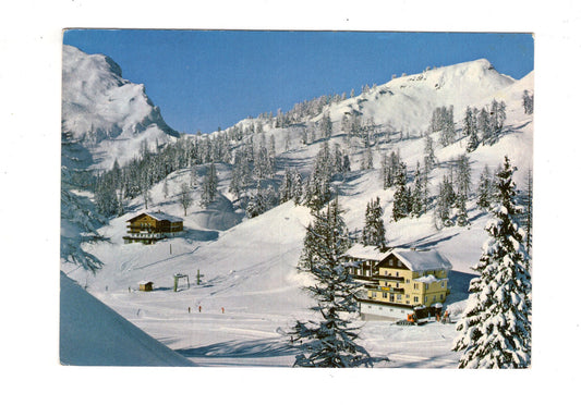 Ansichtskarte Tauplitzalm / Alpengasthof Hiezegger / Gasthof Haus Zand / Österreich