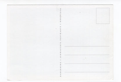 Ansichtskarte Schlittenhund in der Hardangervidda / Norwegen