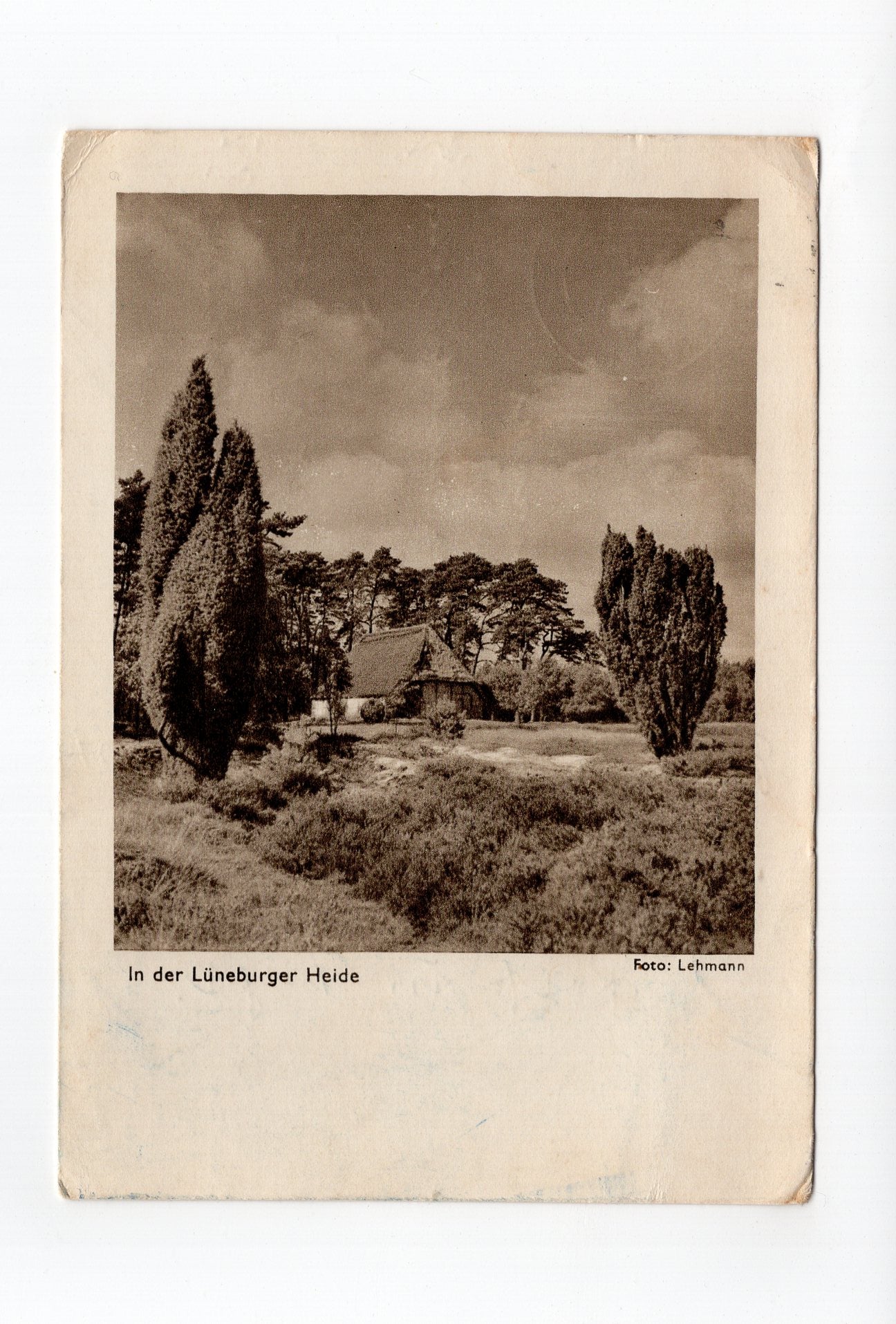 Ansichtskarte In der Lüneburger Heide