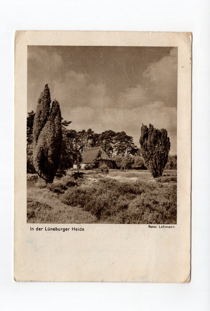 Ansichtskarte In der Lüneburger Heide