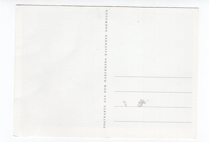 Ansichtskarte Dorfidylle in Hofsund / Lofoten / Norwegen