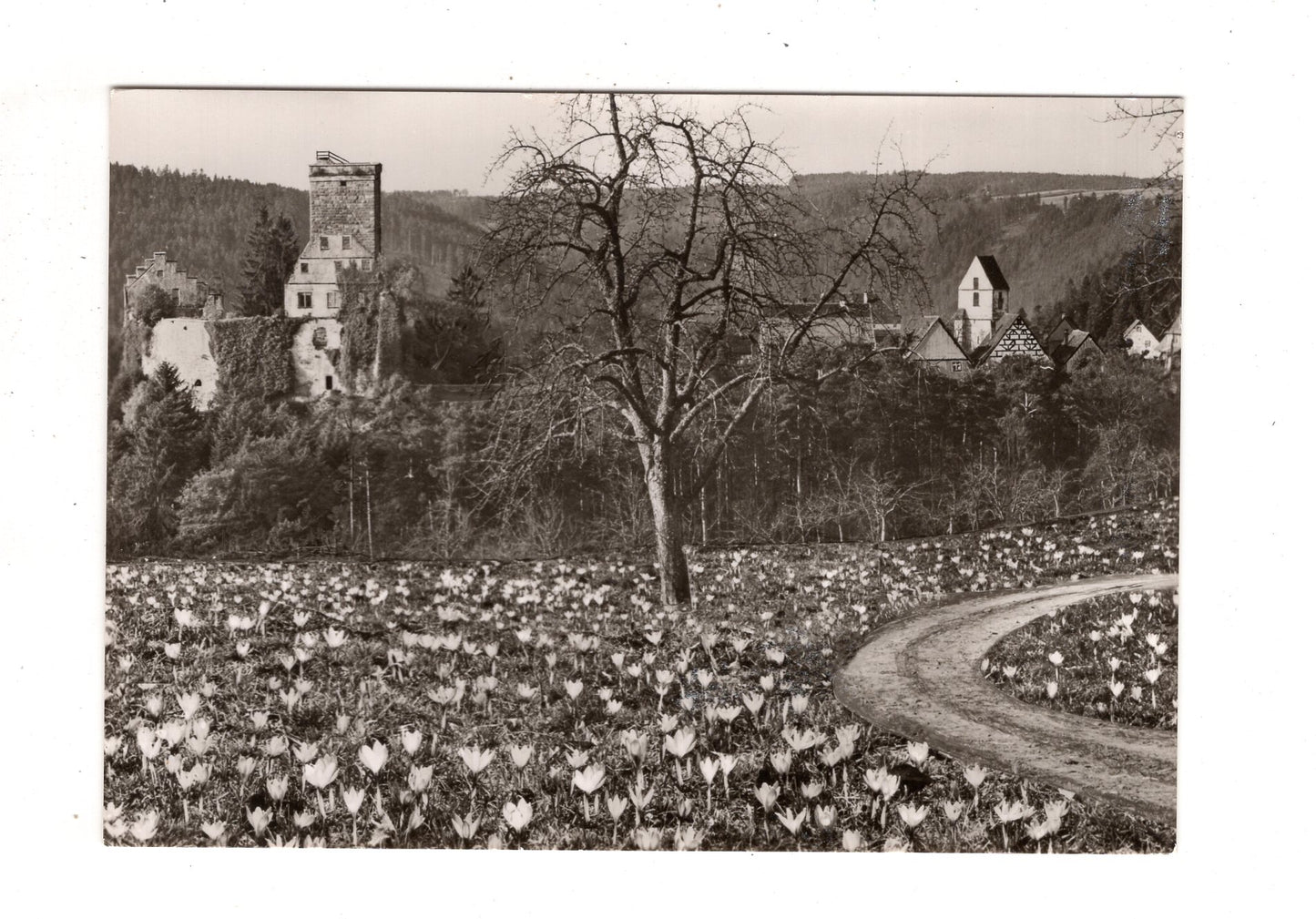 Ansichtskarte Zavelstein / Schwarzwald / K1-47