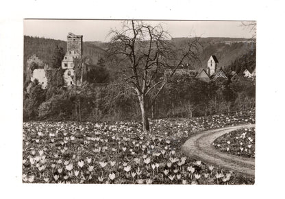 Ansichtskarte Zavelstein / Schwarzwald / K1-47