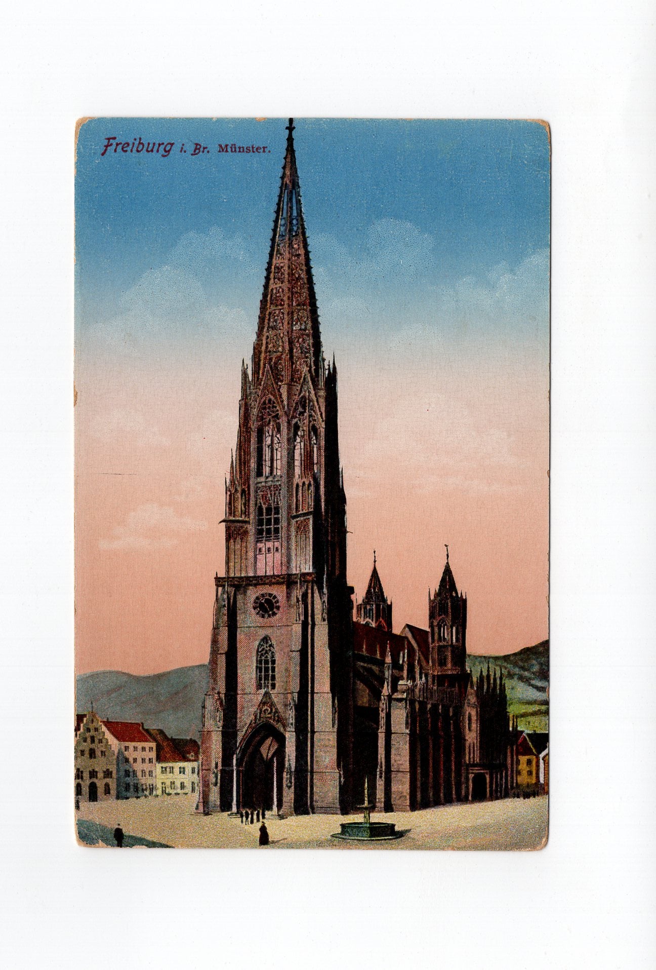 Ansichtskarte Freiburg im Breisgau / Münster