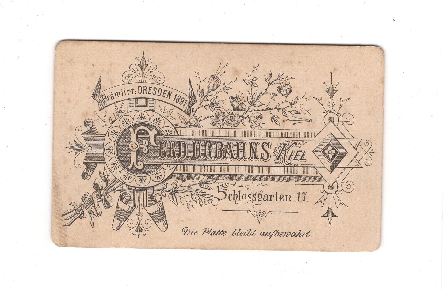 Fotografie Damenportrait - Kiel 1890er / CDV C1-10