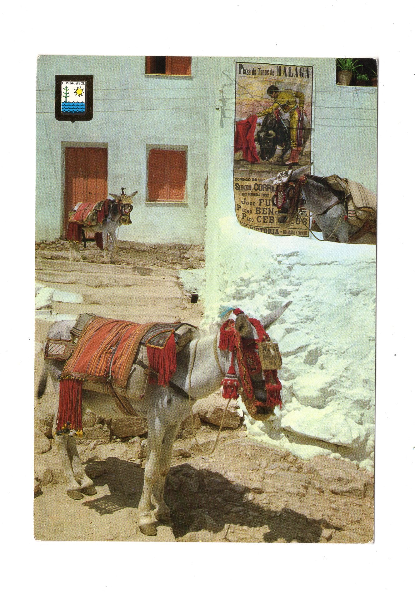 Ansichtskarte Burros / Costa del Sol / Spanien