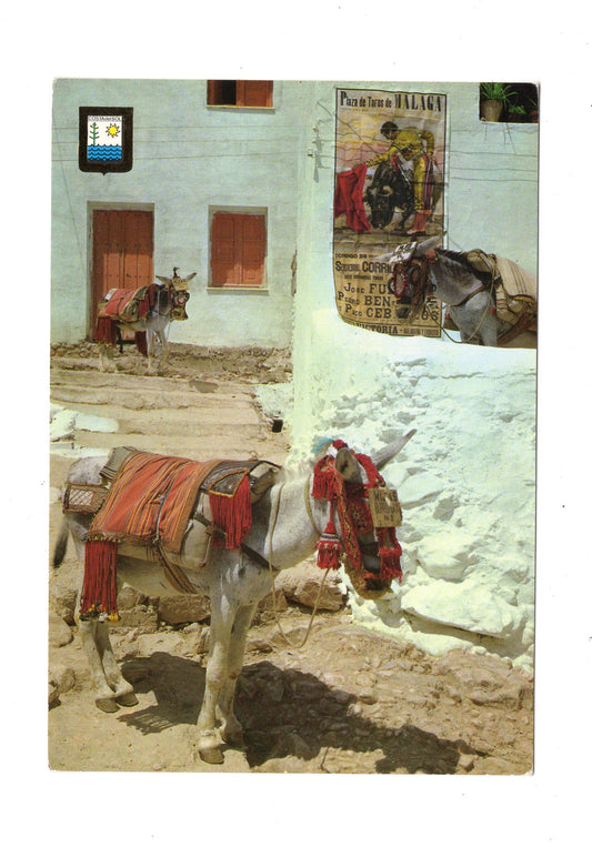 Ansichtskarte Burros / Costa del Sol / Spanien