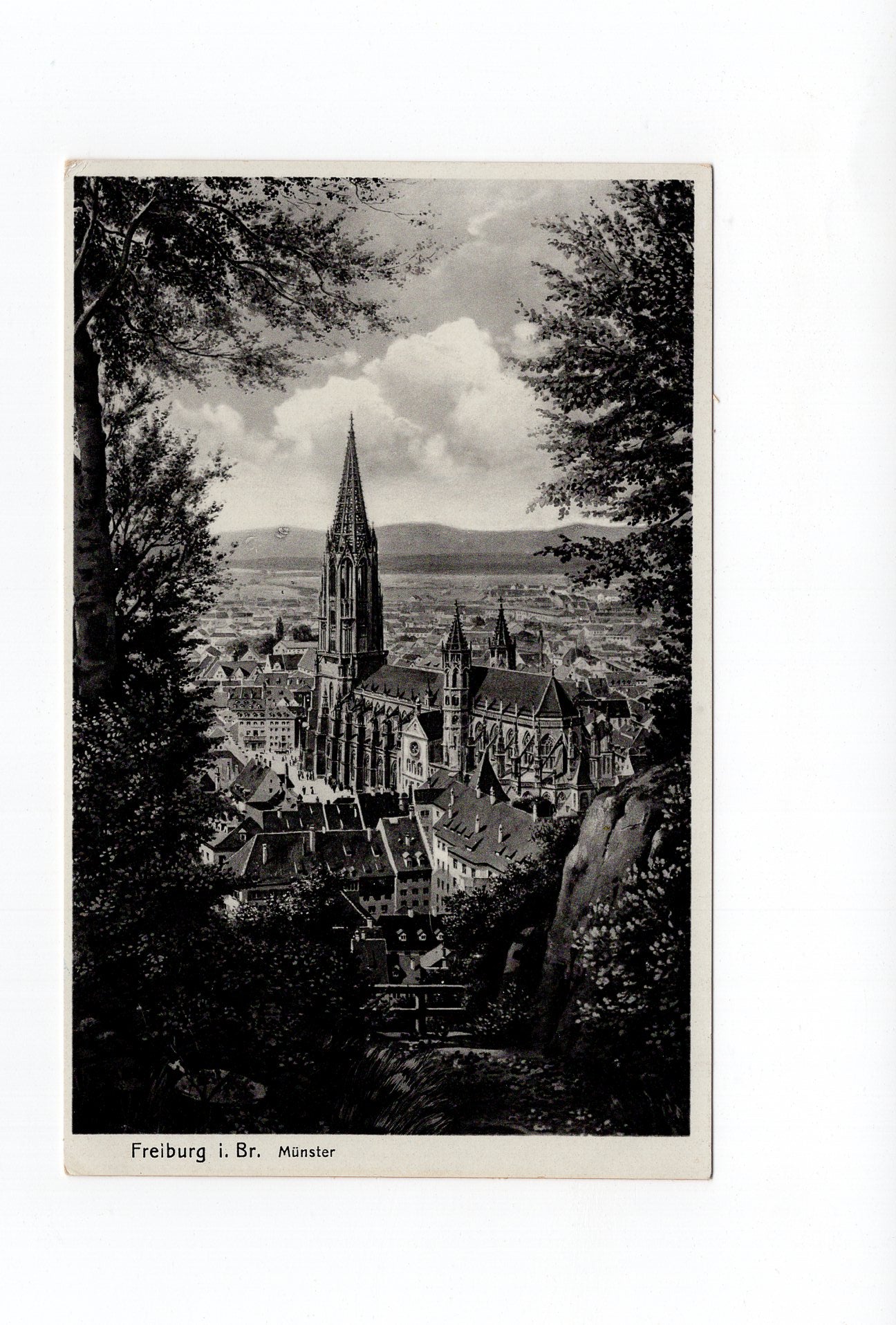 Ansichtskarte Freiburg im Breisgau / Münster