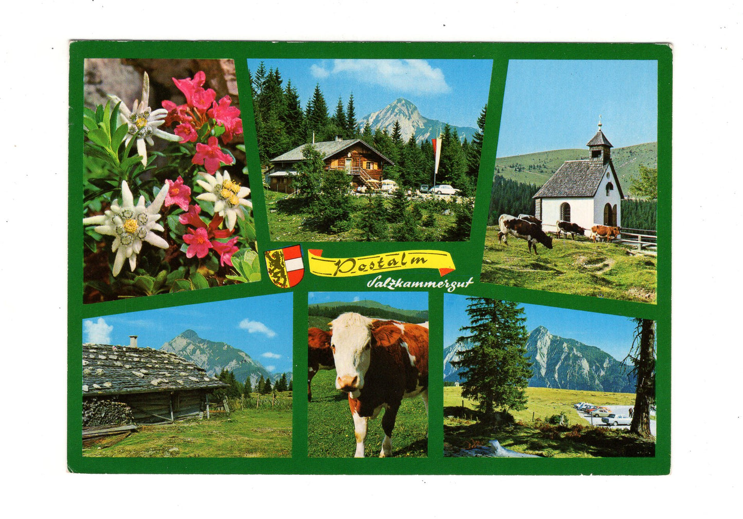 Ansichtskarte Postalm bei Strobl am Wolfgangsee / Salzkammergut / Österreich