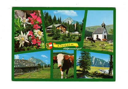 Ansichtskarte Postalm bei Strobl am Wolfgangsee / Salzkammergut / Österreich