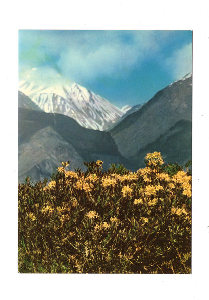 Ansichtskarte Caucasian Mountains / Georgien