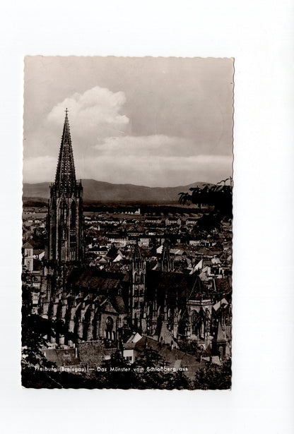 Ansichtskarte Freiburg im Breisgau / Das Münster vom Schlossberg aus