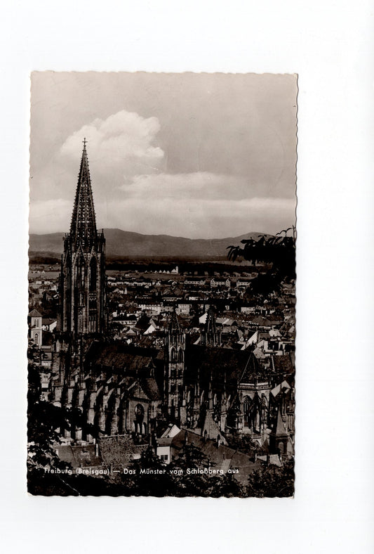 Ansichtskarte Freiburg im Breisgau / Das Münster vom Schlossberg aus