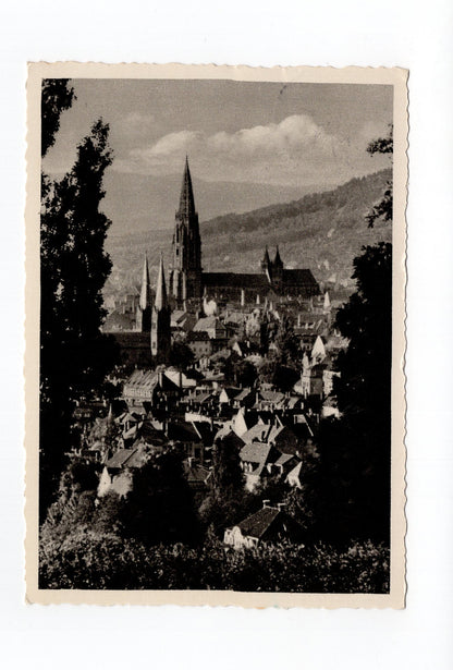 Ansichtskarte Freiburg im Breisgau / Vom Lorettoberg