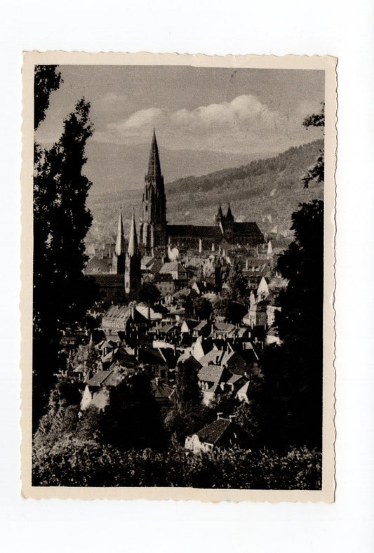 Ansichtskarte Freiburg im Breisgau / Vom Lorettoberg