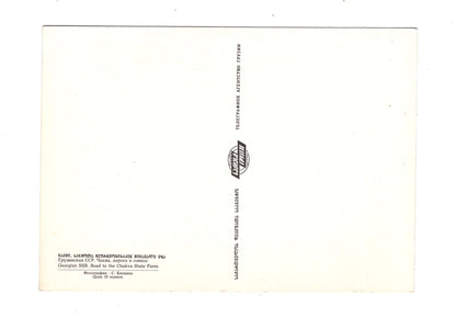 Ansichtskarte Road to the Chakva State Farm / Georgien