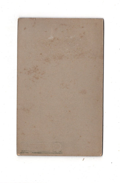 Fotografie Feine Dame im Garten - Stollberg 1910er / CDV L1-31