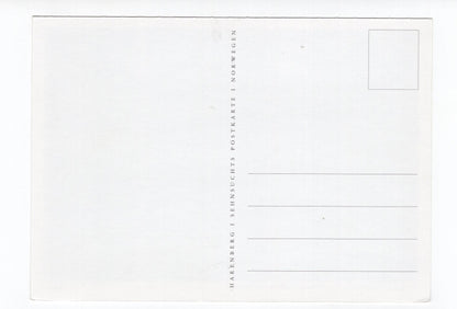 Ansichtskarte Winterlandschaft auf Vestvagoy / Lofoten / Norwegen