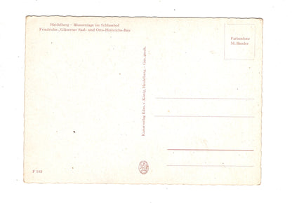 Ansichtskarte Heidelberg / Blumentage im Schlosshof / M1-52
