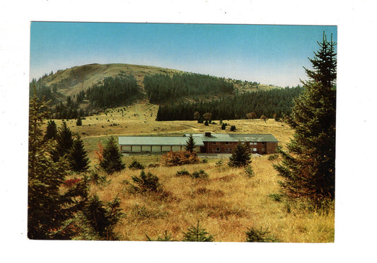 Ansichtskarte Feldberg / Schwarzwald / Leistungszentrum Herzogenhorn / K1-47