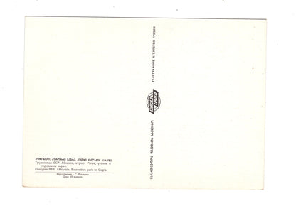 Ansichtskarte Abkhazia / Recreation park in Gagra / Georgien