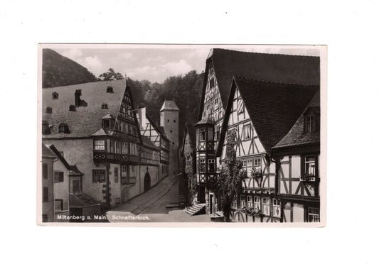 Ansichtskarte Miltenberg am Main / Schnatterloch / I1-59