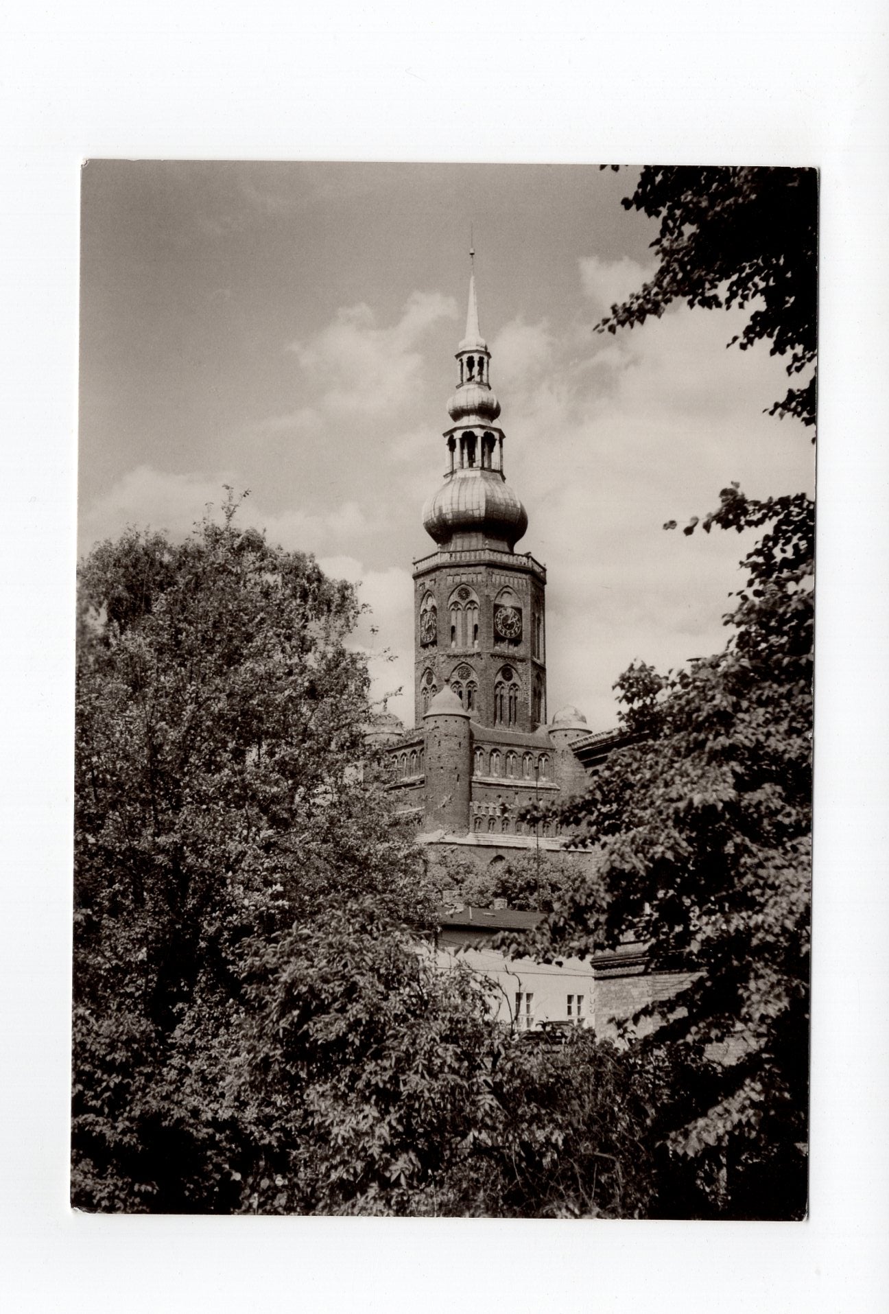 Ansichtskarte Greifswald / Dom