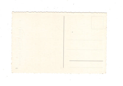 Ansichtskarte Glückwünsche / Glückwunsch zum Geburtstag / L1-62